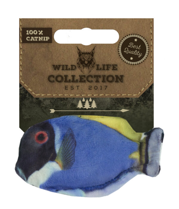 Wild Life Cat Blue Tang (Blauwe Doktersvis) - Afbeelding 2