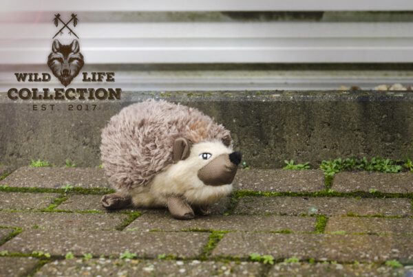 Wild Life Dog Hedgehog (Egel) - Afbeelding 4