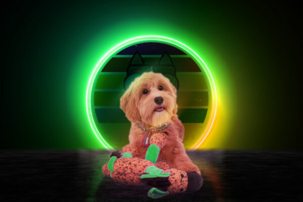 Retrodog Donkey Green M - Afbeelding 3