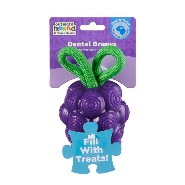 Outward Dental Grapes TNT Prp MD