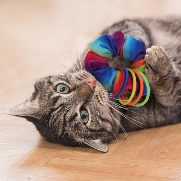 KONG Cat Active Scrunchie - Afbeelding 2