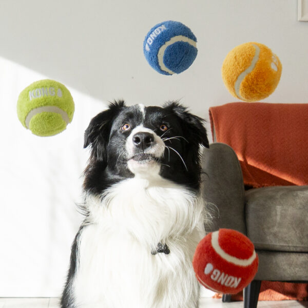 KONG Sport Softies Ball Assorted Bulk Md - Afbeelding 5