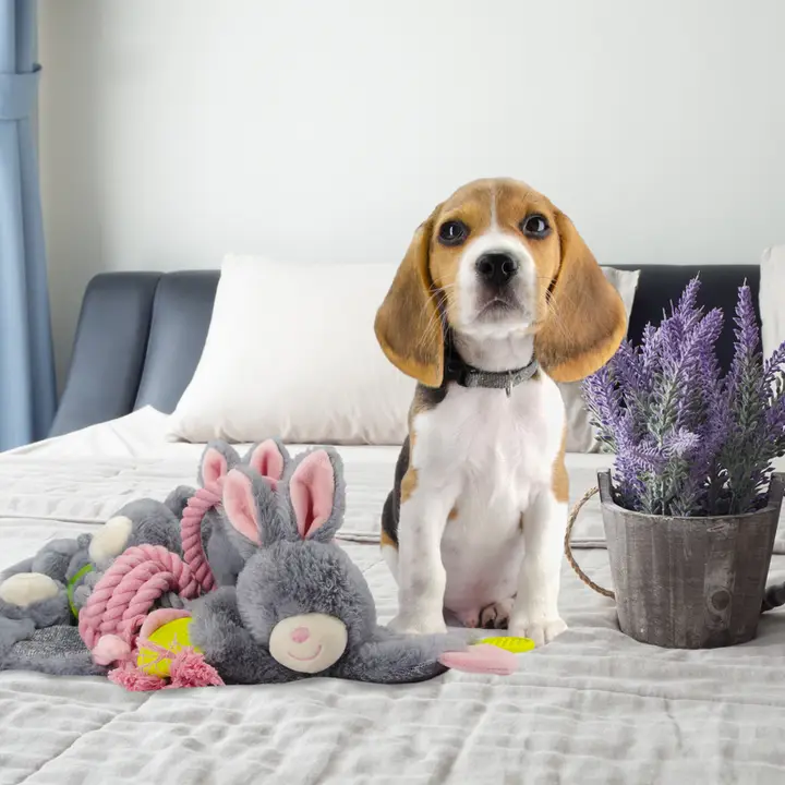 Bunny Puppy Crunchy Chew 2025 Bunny Puppy Crunchy Chew - Afbeelding 3