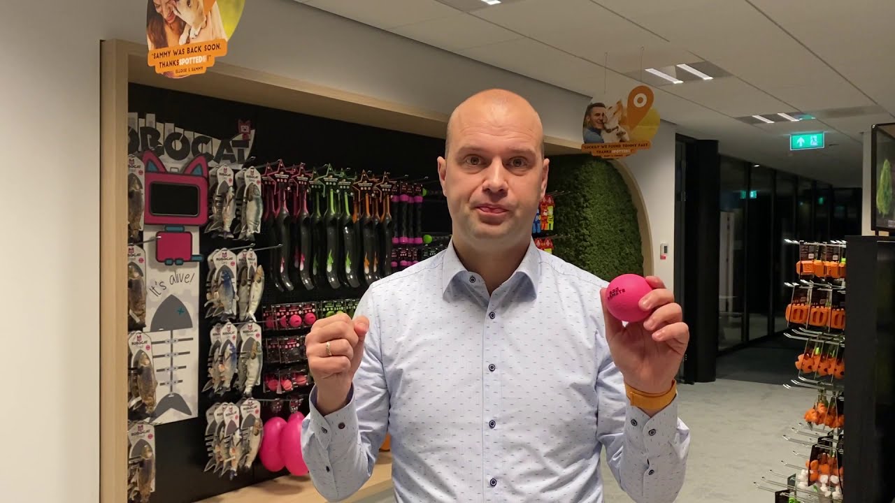 Dog Comets Stardust Zwart/Roze M 2025 Dog Comets Stardust Zwart/Roze M - Afbeelding 3