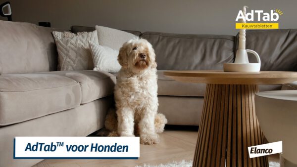 Elanco AdTab kauwtabletten hond (>11 - 22 kg) - Afbeelding 2