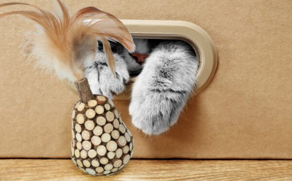 Addicted! Stick with Caterpillar & Feathers - Afbeelding 3