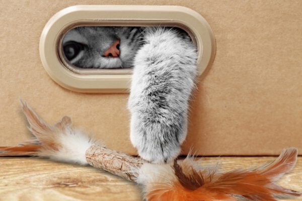 Addicted! Stick with Caterpillar & Feathers - Afbeelding 4