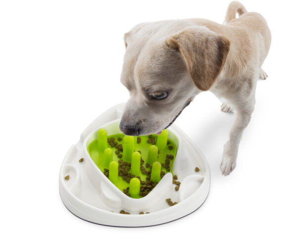 AFP Interactives - Food Maze - Afbeelding 5