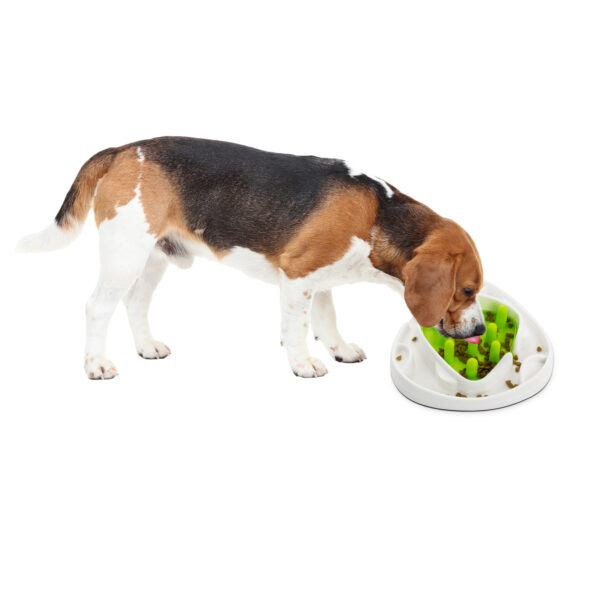 AFP Interactives - Food Maze - Afbeelding 2