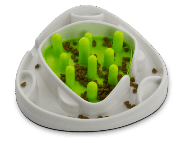 AFP Interactives - Food Maze - Afbeelding 4