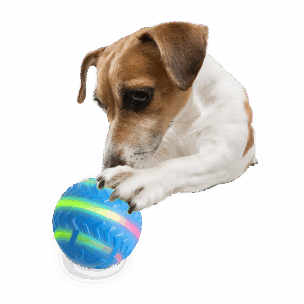 AFP Interactives Motion Activated Action Ball - Afbeelding 4