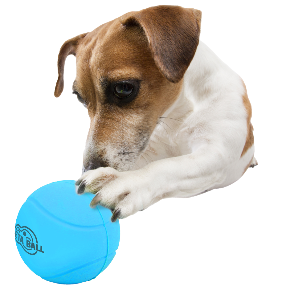 AFP Meta Ball - Bounce & Rattle Ball 2025 AFP Meta Ball - Bounce & Rattle Ball - Afbeelding 3