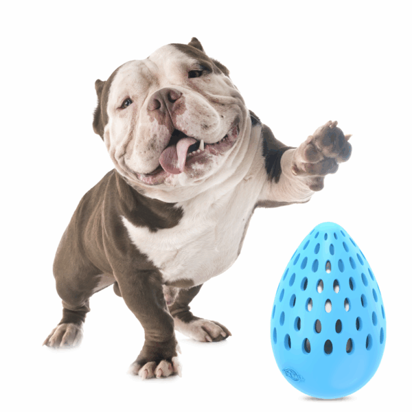 AFP Meta Ball - Holey Egg indestructible M - Afbeelding 5