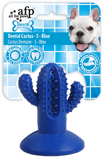 AFP Dental Chews - Dental Cactus S Blauw 2025 AFP Dental Chews - Dental Cactus S Blauw