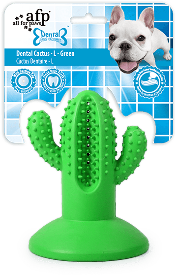 AFP Dental Chews - Dental Cactus L Groen 2025 AFP Dental Chews - Dental Cactus L Groen