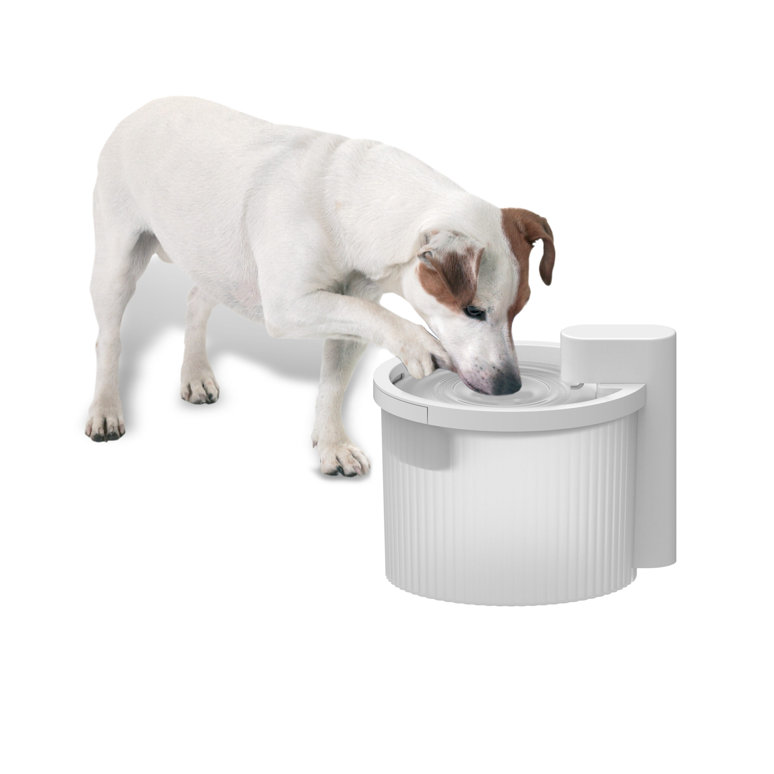 AFP Lifestyle 4 Pets Wireless Fountain 2025 AFP Lifestyle 4 Pets Wireless Fountain - Afbeelding 2