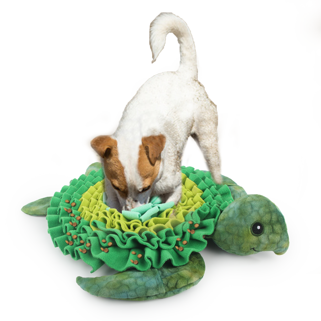 AFP Dig It - Treat Mat Zeeschildpad 2025 AFP Dig It - Treat Mat Zeeschildpad - Afbeelding 2