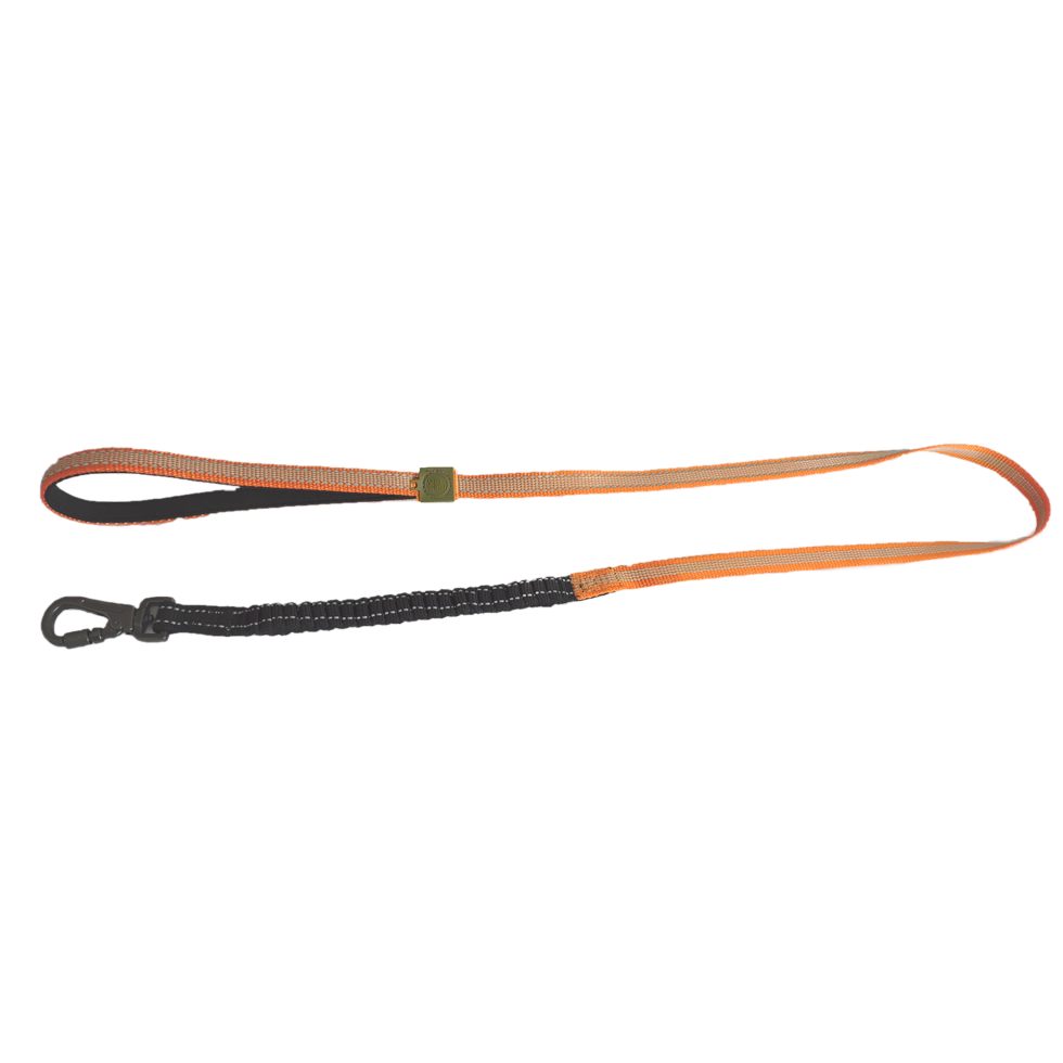 AFP Off Street - Dog Leash Mandarijn S 2025 AFP Off Street - Dog Leash Mandarijn S - Afbeelding 2