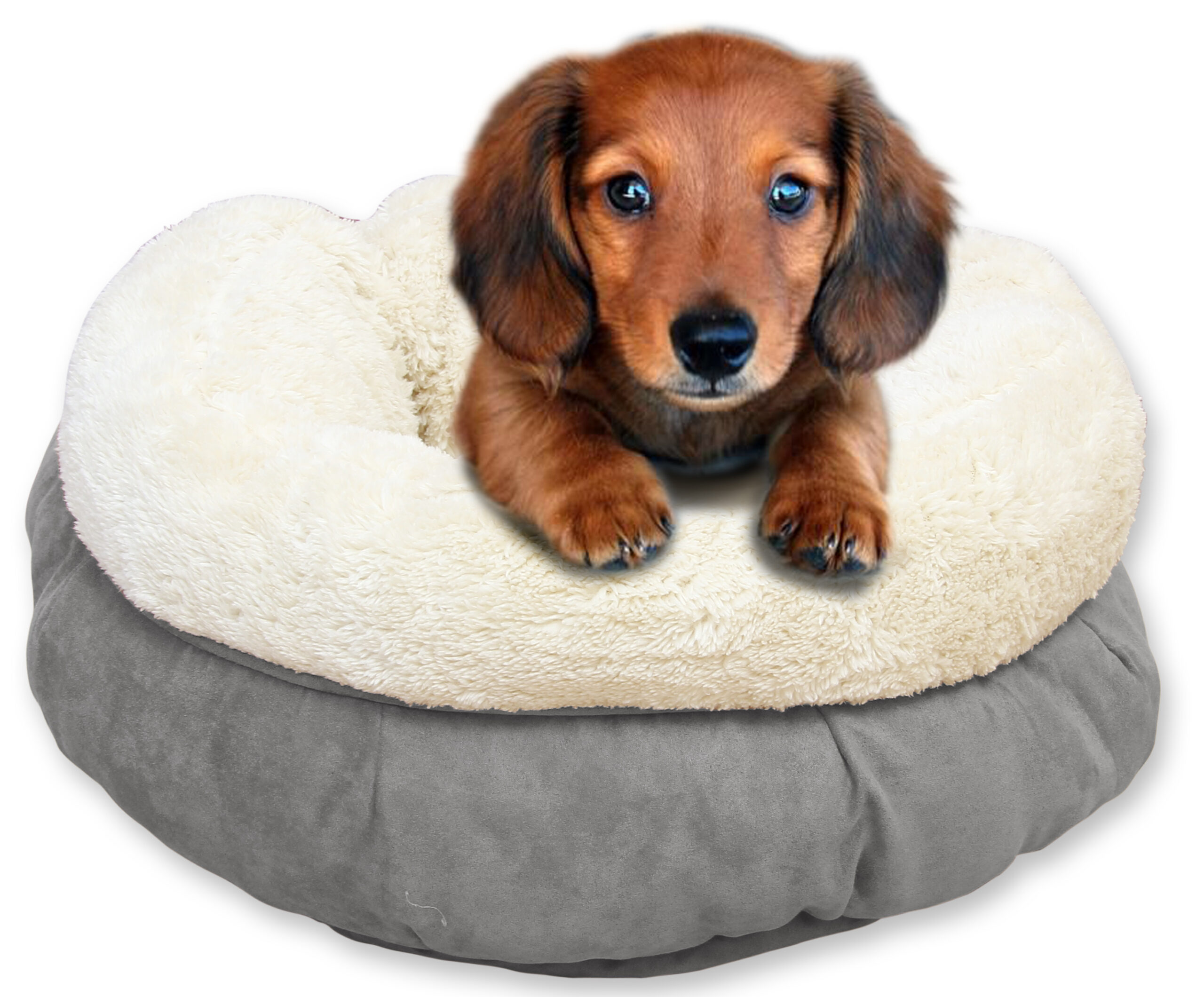 AFP Lambswool - Donut Bed Grijs 2025 AFP Lambswool - Donut Bed Grijs - Afbeelding 2