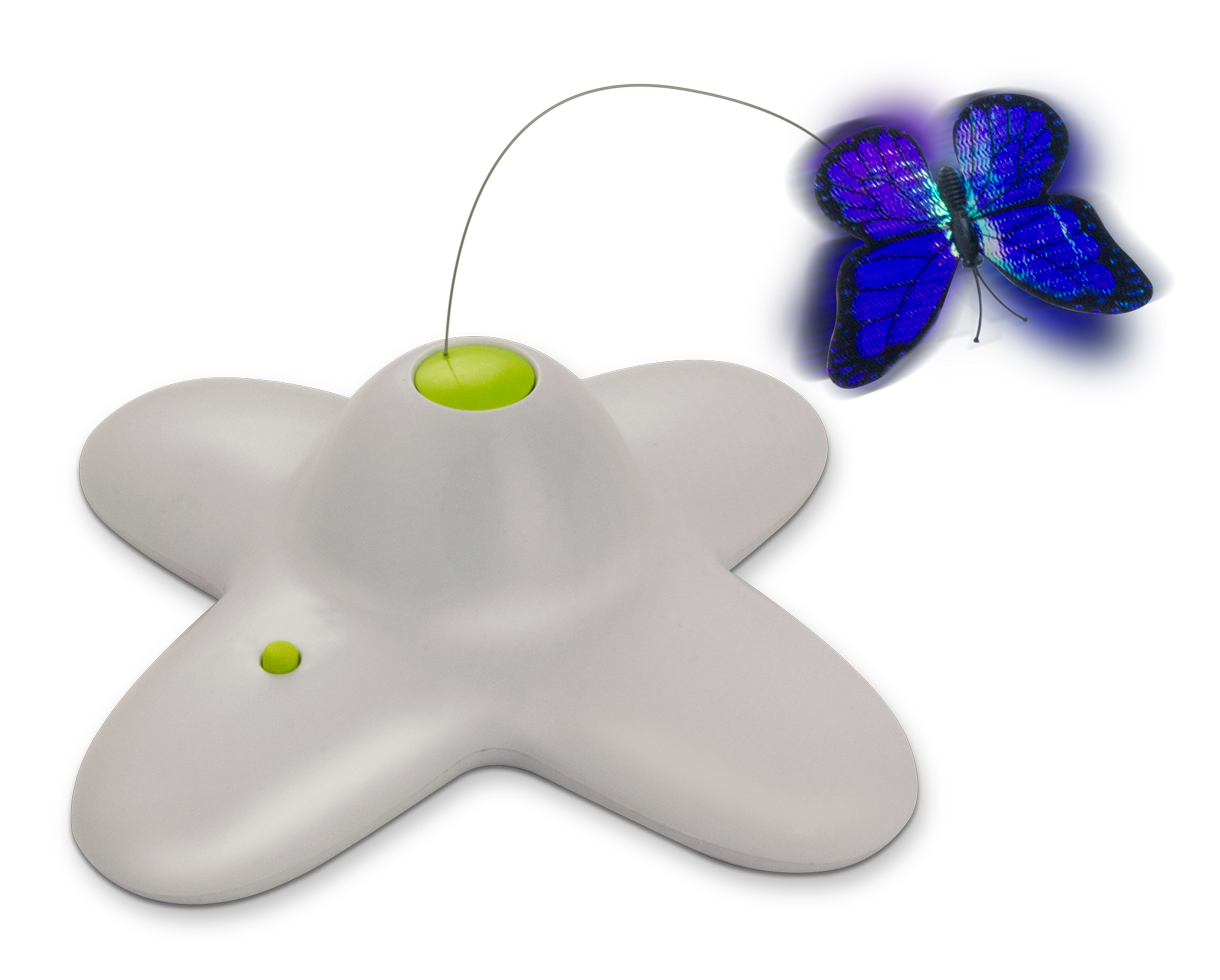 AFP Interactives - Flutter Bug 2025 AFP Interactives - Flutter Bug - Afbeelding 2