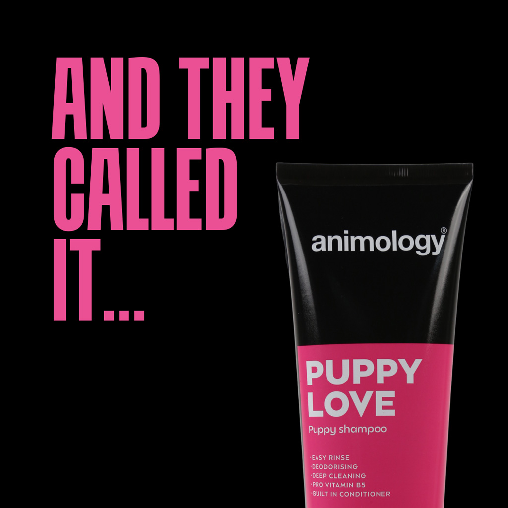 Animology Puppy Love Puppy Shampoo 250 ml 2025 Animology Puppy Love Puppy Shampoo 250 ml - Afbeelding 2