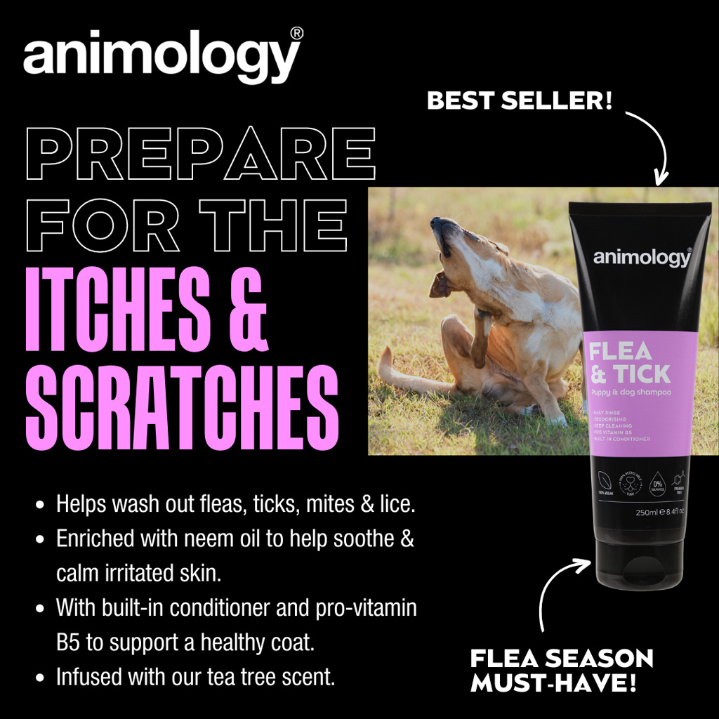 Animology Flea & Tick Dog Shampoo 250 ml 2025 Animology Flea & Tick Dog Shampoo 250 ml - Afbeelding 2