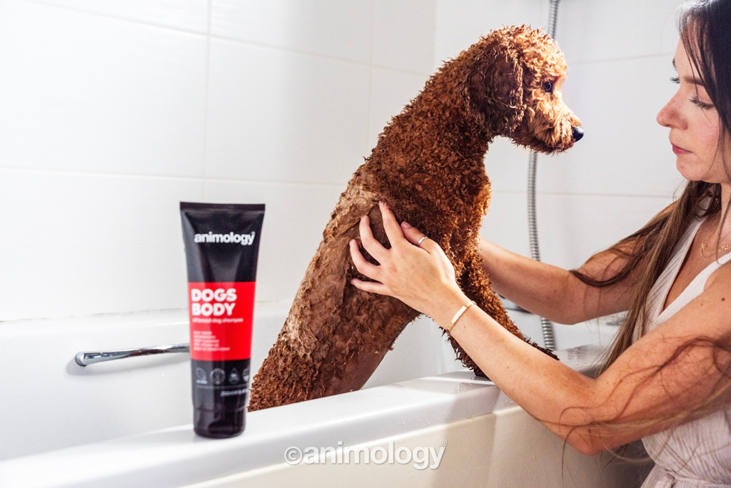 Animology Dogs Body Dog Shampoo 250 ml 2025 Animology Dogs Body Dog Shampoo 250 ml - Afbeelding 3