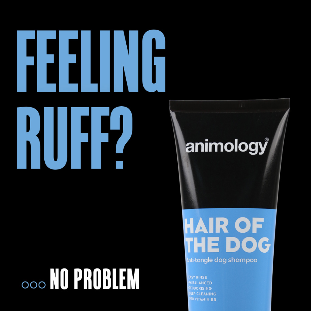 Animology Hair Of The Dog Anti-Tangle Dog Shampoo 250 ml 2025 Animology Hair Of The Dog Anti-Tangle Dog Shampoo 250 ml - Afbeelding 2