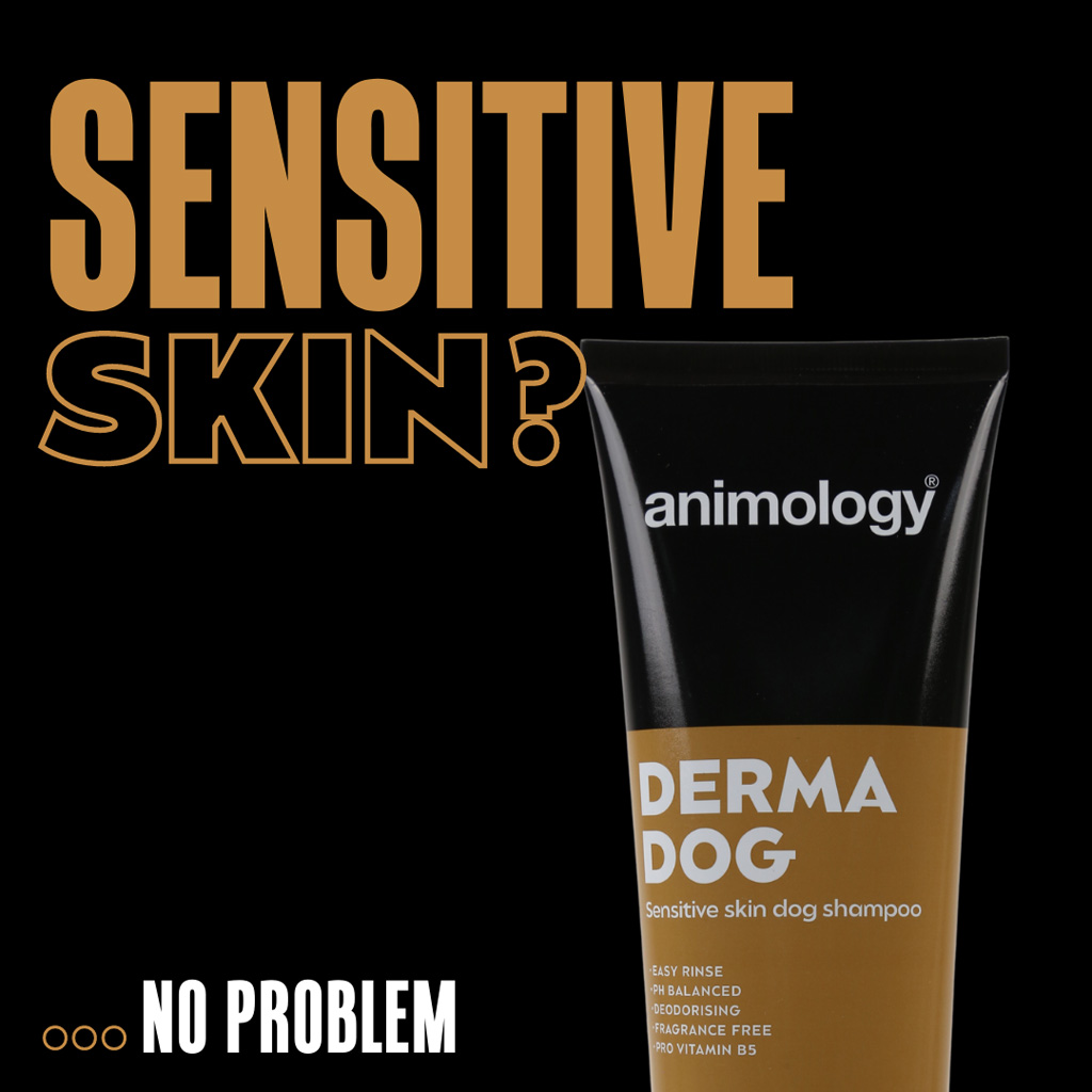 Animology Derma Dog Sensitive Skin Dog Shampoo 250 ml 2025 Animology Derma Dog Sensitive Skin Dog Shampoo 250 ml - Afbeelding 2