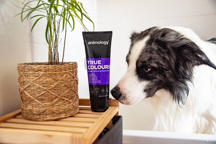 Animology True Colours Dog Shampoo 2025 Animology True Colours Dog Shampoo - Afbeelding 3