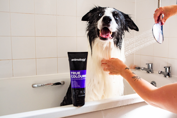 Animology True Colours Dog Shampoo 2025 Animology True Colours Dog Shampoo - Afbeelding 5