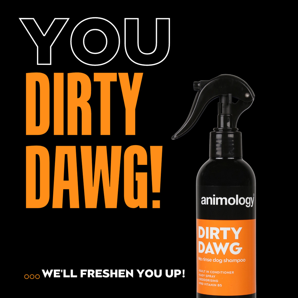 Animology Dirty Dawg No Rinse Dog Shampoo 250 ml 2025 Animology Dirty Dawg No Rinse Dog Shampoo 250 ml - Afbeelding 2