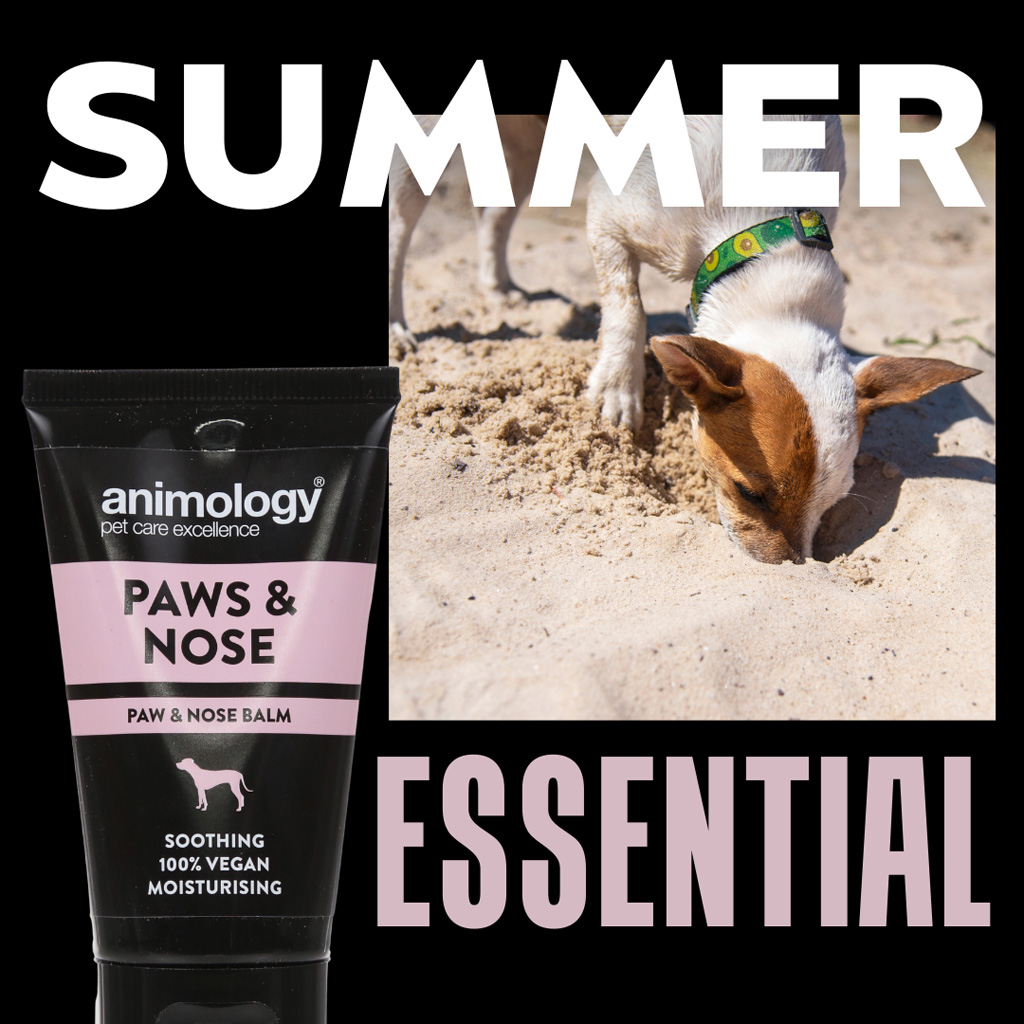 Animology Paws & Nose Balm 50 ml 2025 Animology Paws & Nose Balm 50 ml - Afbeelding 2