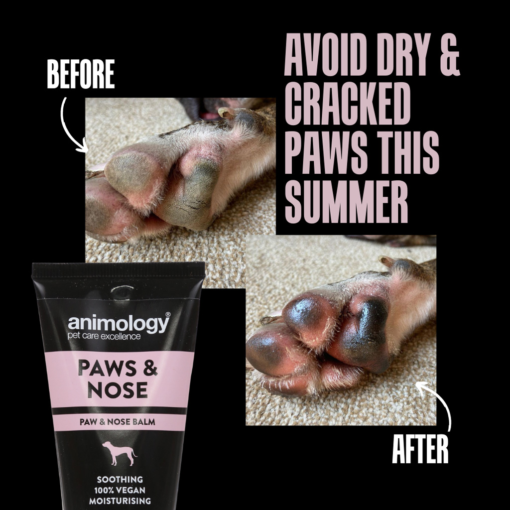 Animology Paws & Nose Balm 50 ml 2025 Animology Paws & Nose Balm 50 ml - Afbeelding 3