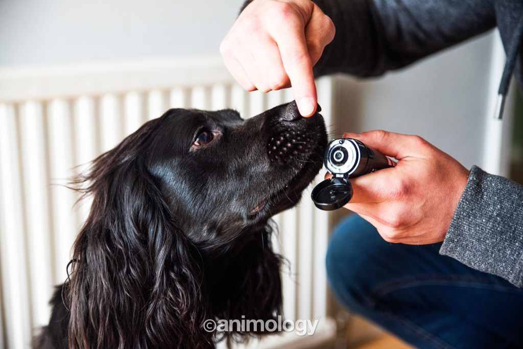 Animology Paws & Nose Balm 50 ml 2025 Animology Paws & Nose Balm 50 ml - Afbeelding 4