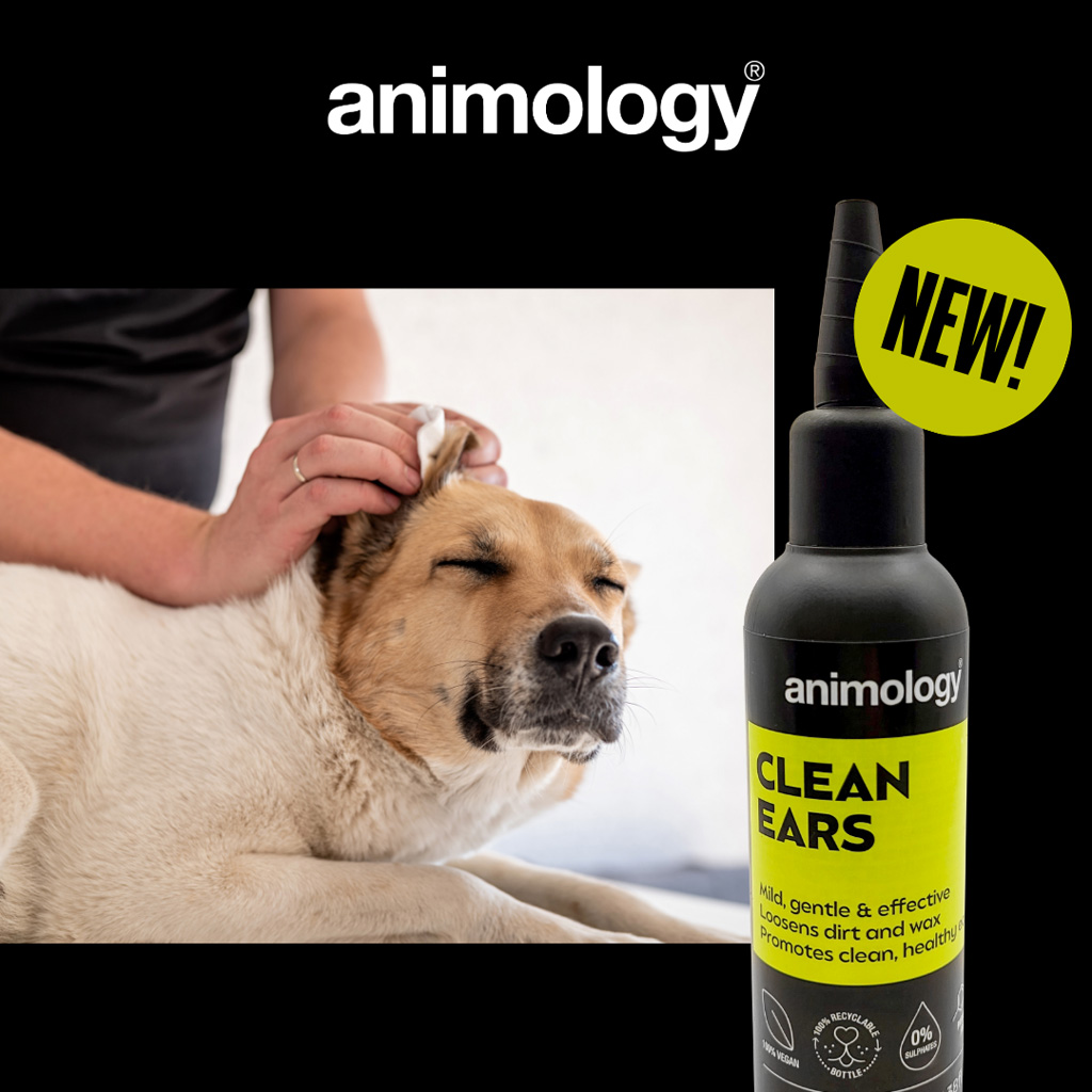 Animology Clean Ears 100 ml 2025 Animology Clean Ears 100 ml - Afbeelding 2