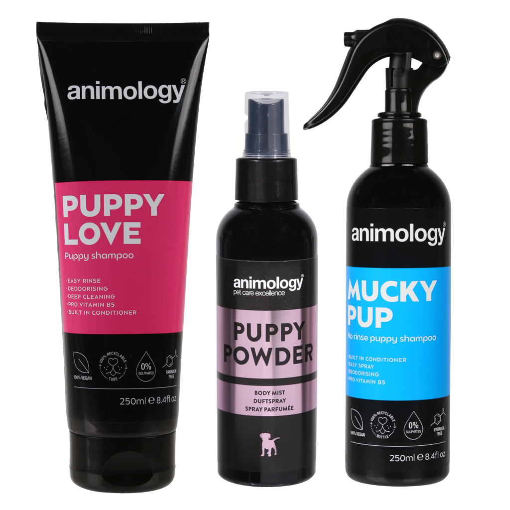 Animology My First Puppy Pack 2025 Animology My First Puppy Pack - Afbeelding 3