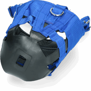 The Ultimate Muzzle Pony