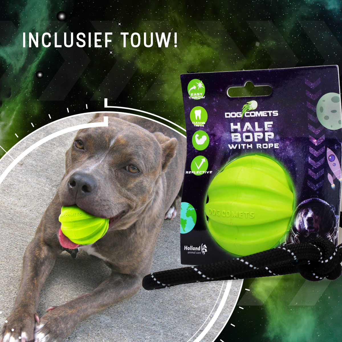 Dog Comets Hale Bopp Met Touw Groen 2025 Dog Comets Hale Bopp Met Touw Groen - Afbeelding 4