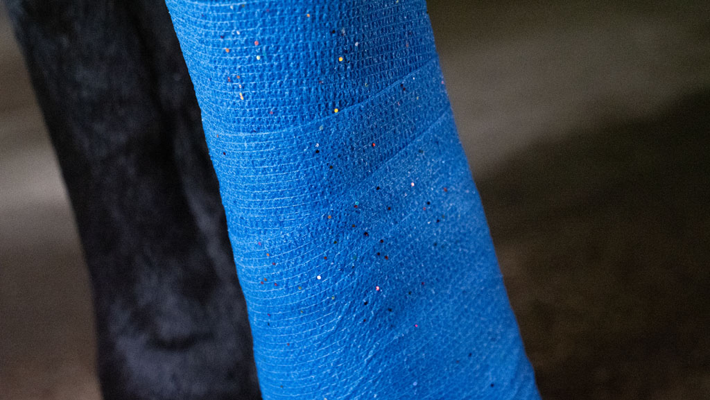 Excellent Animal Glitter Bandage Profi 10 cm - Blauw 2025 Excellent Animal Glitter Bandage Profi 10 cm - Blauw - Afbeelding 4