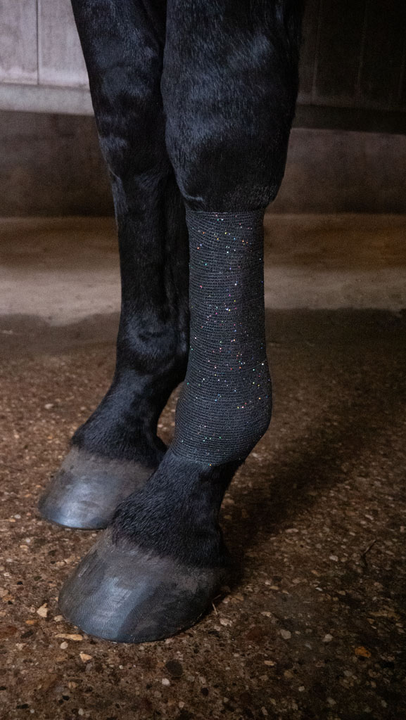 Excellent Animal Glitter Bandage Profi 10 cm - Zwart 2025 Excellent Animal Glitter Bandage Profi 10 cm - Zwart - Afbeelding 2