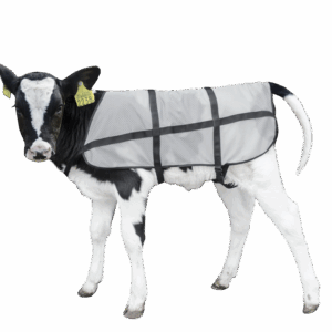 Bodyguard Kalf Zomerdekje