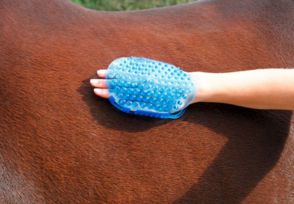 Borstel magneet massage Blauw 2025 Borstel magneet massage Blauw - Afbeelding 5