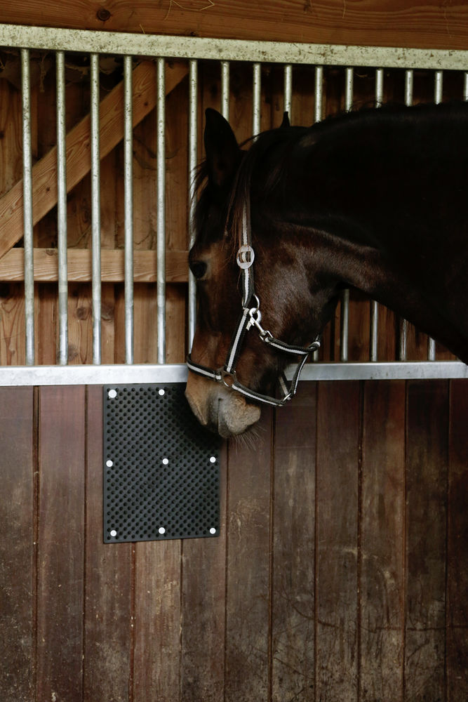 Borstelmat voor Paard, Kalf, Geit 40 x 30 cm 2025 Borstelmat voor Paard, Kalf, Geit 40 x 30 cm - Afbeelding 6