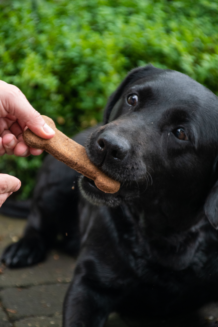 Bugbone Grootverpakking Large 11 kg 2025 Bugbone Grootverpakking Large 11 kg - Afbeelding 3