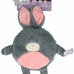 Bunny Puppy Flat Rabbit