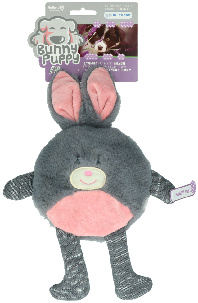 Bunny Puppy Flat Rabbit 2025 Bunny Puppy Flat Rabbit
