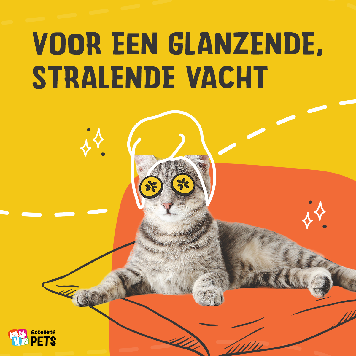 Excellent Pets Cat Salmon Oil 250 ml 2025 Excellent Pets Cat Salmon Oil 250 ml - Afbeelding 3