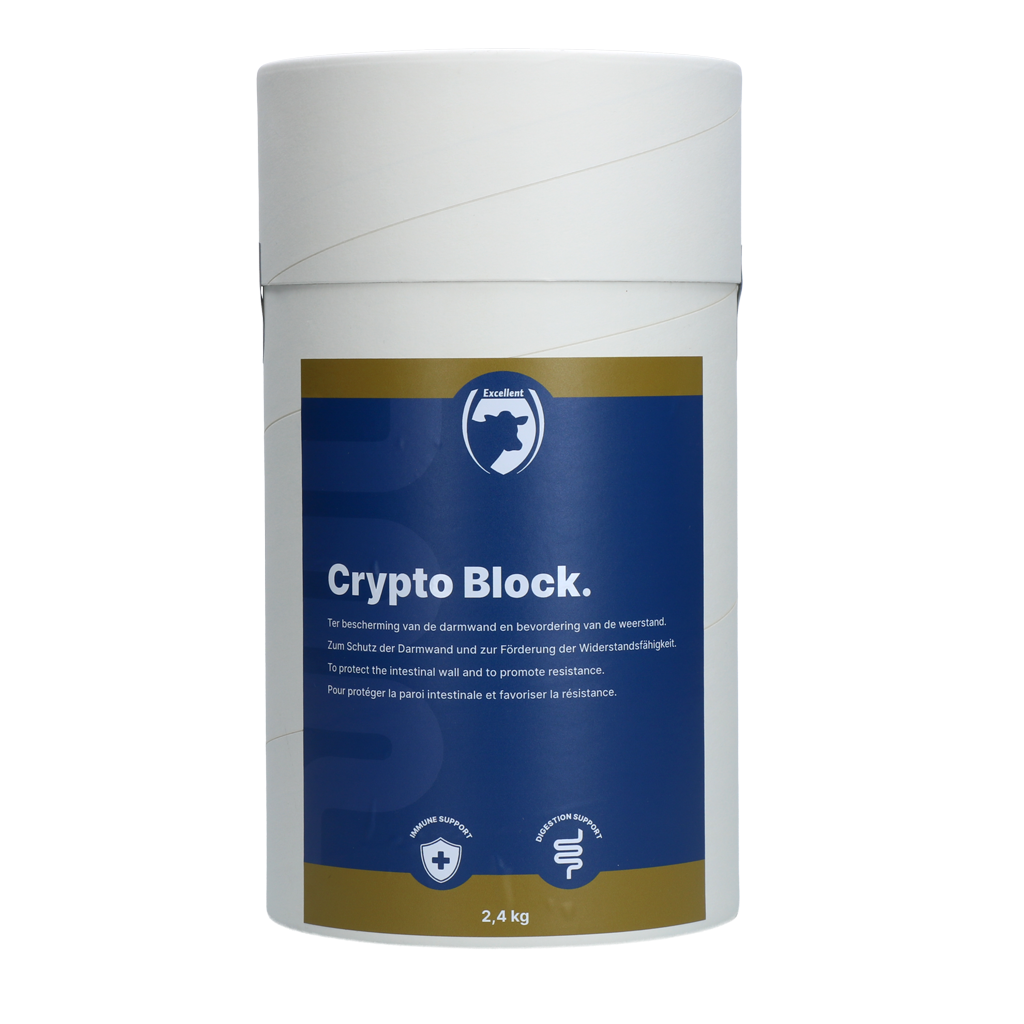 Excellent Crypto Block 2,4 kg 2025 Excellent Crypto Block 2,4 kg
