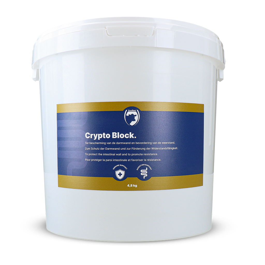 Excellent Crypto Block 4,8 kg 2025 Excellent Crypto Block 4,8 kg